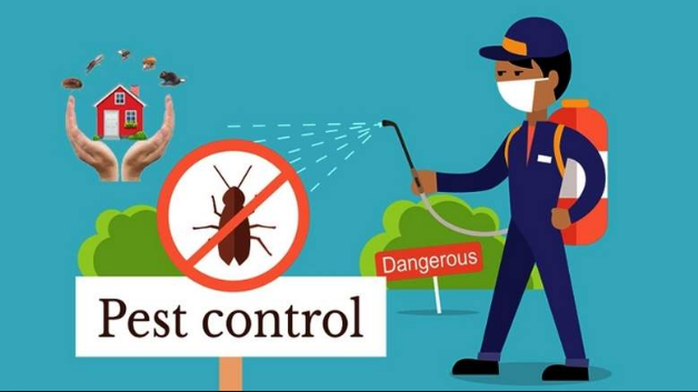 Eradicate pests invasions at once with the pest control companies in Dubai