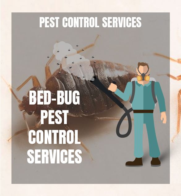 Bed-Bug-Control-Services