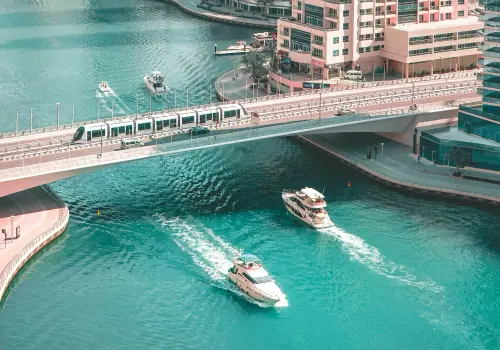 pest control service