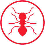 Protection from termite infestation