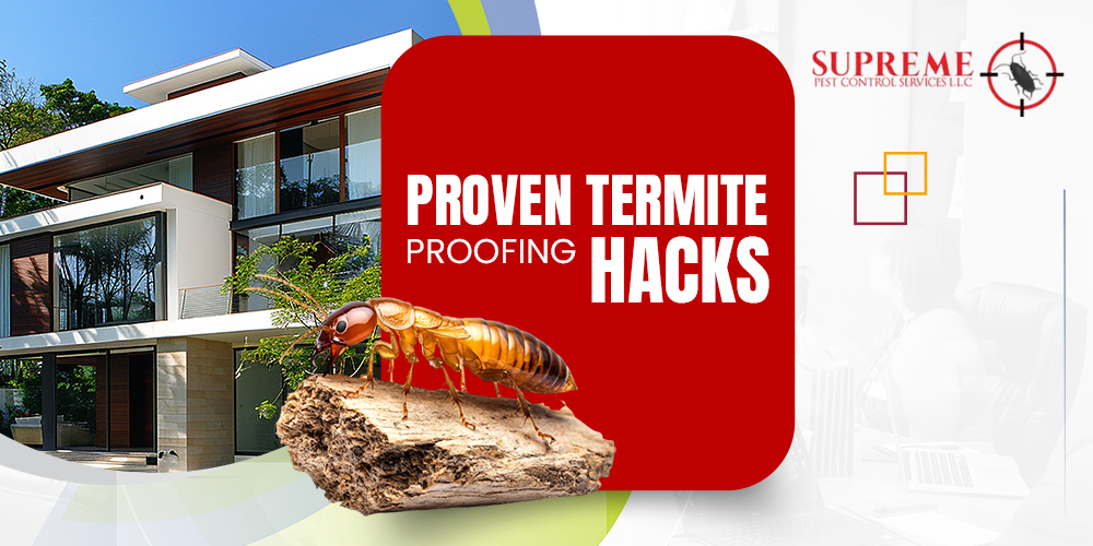 Termite Proofing