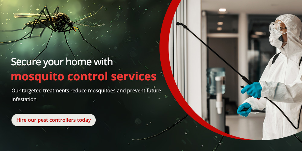 Hire mosquito pest control expert