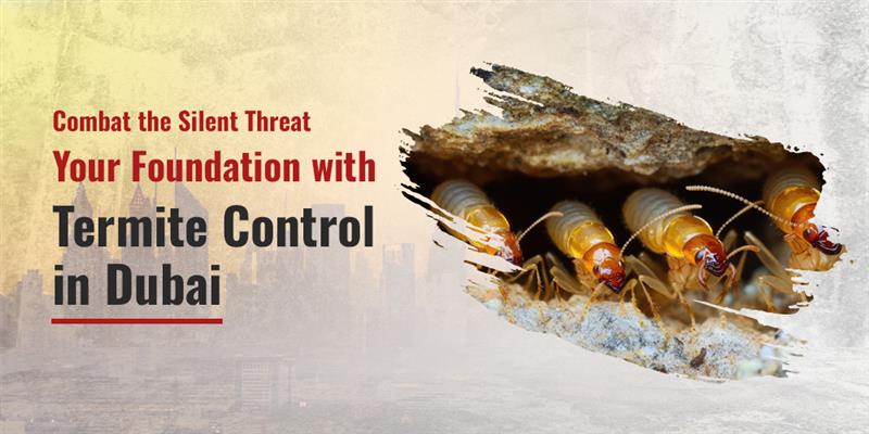 ermite Control in Dubai