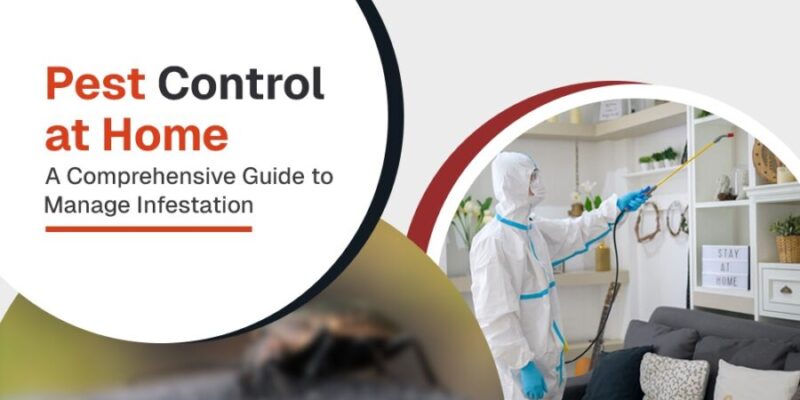 Pest Control at home