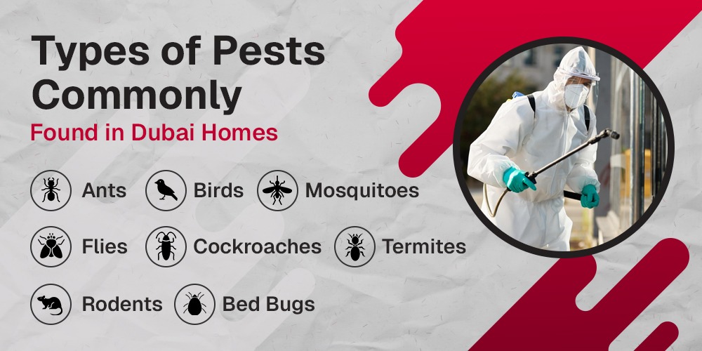 Type of Pest Commonly
