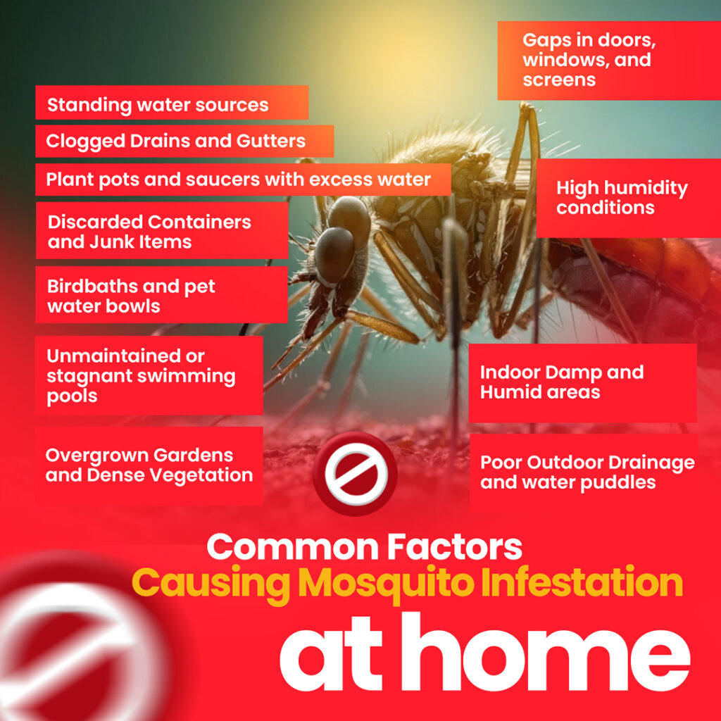 Common factors causing mosquito infestation