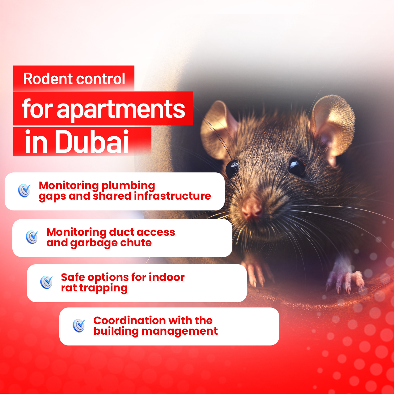 Rodent control for apartments in Dubai