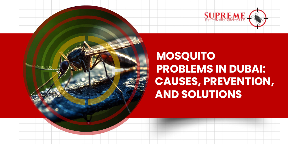Mosquito Problems in Dubai