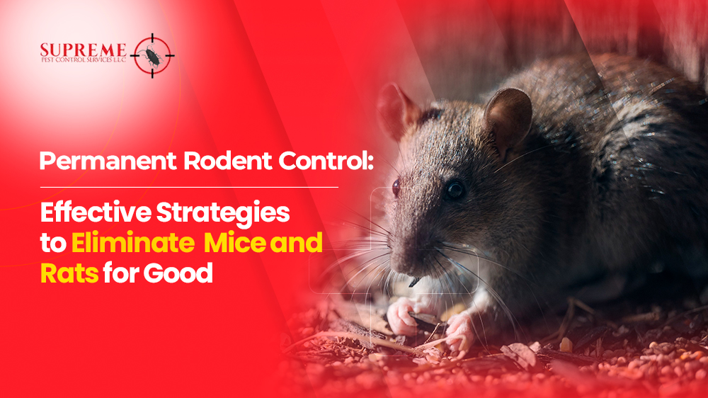 Permanent Rodent Control