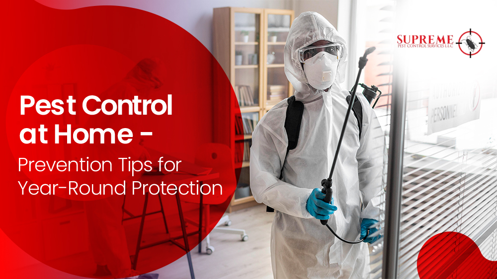 Pest Control at Home - Prevention Tips for Year-Round Protection